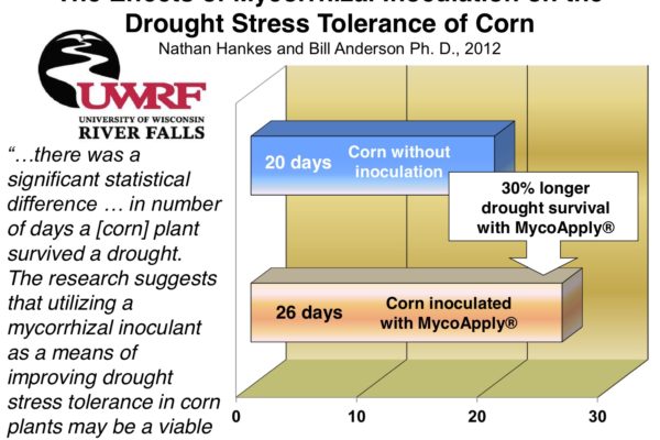 corn-drought-graph
