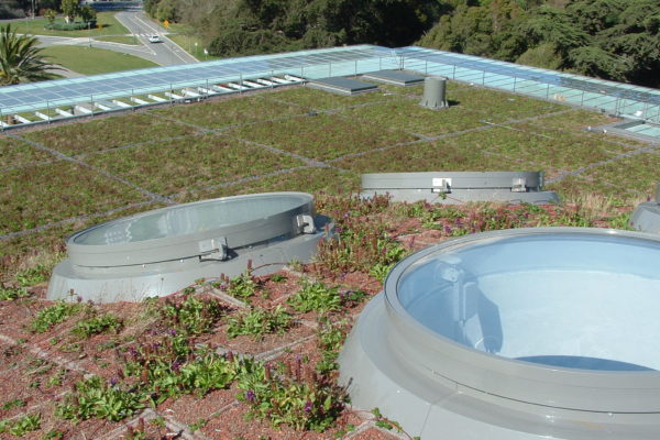 green-roof-12
