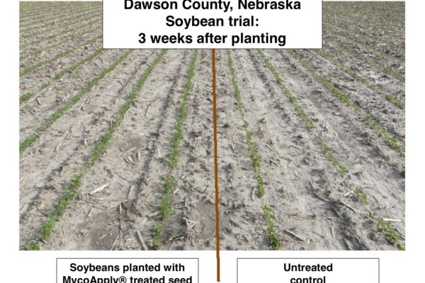 nebraska-mycoapply-seed-treatment-on-soybeans