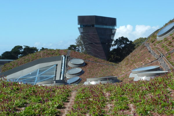 sf-museum-green-roof