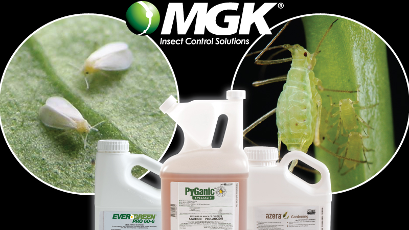 Managing Whiteflies and Aphids with MGK’s Botanical Insecticides