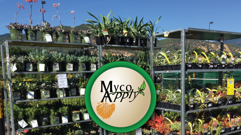 Plants Grown with Mycorrhizae Shine at Retail and in the Landscape