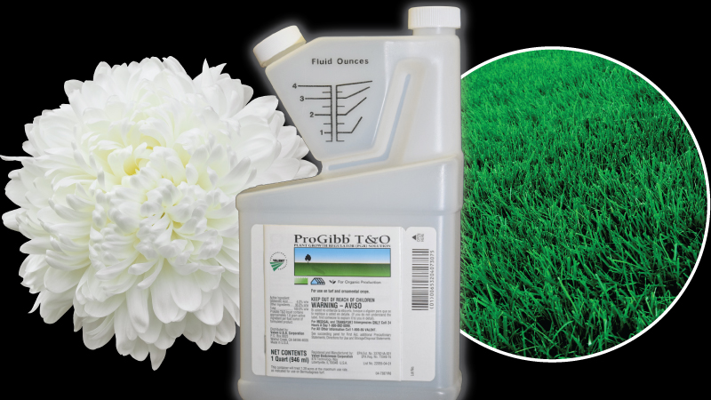 ProGibb® T&O: Use of Gibberellic Acid in Ornamentals, Cut Flower, and Turf