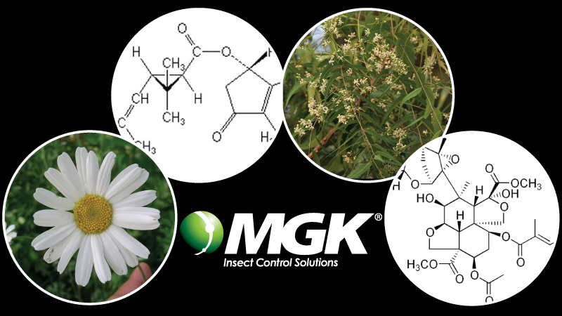 Let’s Talk Active Ingredients – MGK Botanical Insecticides