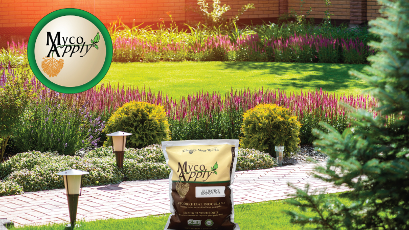 Introduction to Mycorrhizal Use in Landscaping