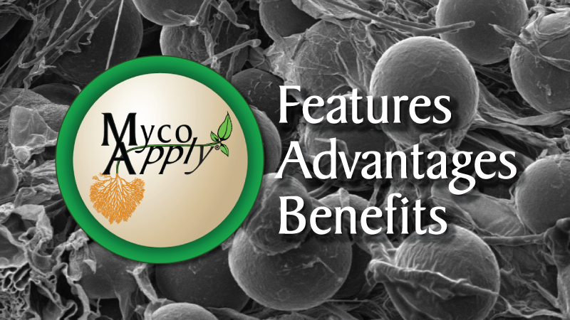 Mycorrhizae – Features, Advantages and Benefits for Growers