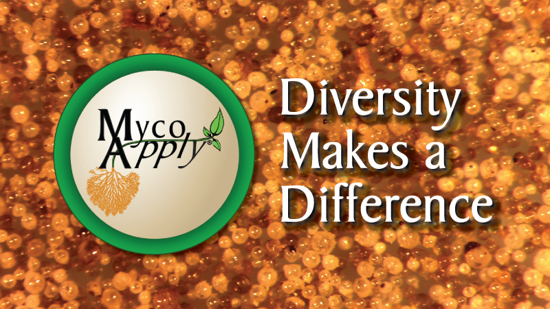 Mycorrhizal Diversity Makes A Difference