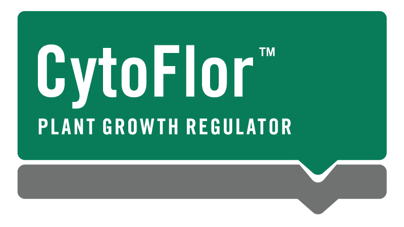 Introducing a new 6-BA Plant Growth Regulator for the Horticulture Industry: CytoFlor™