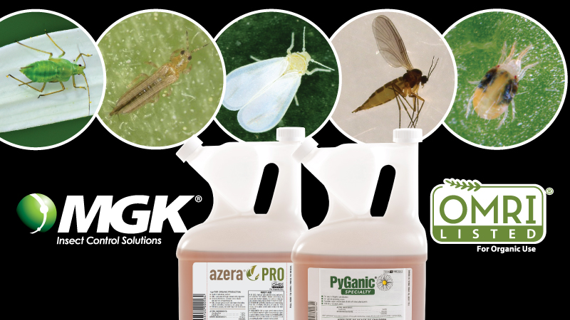 Top-5 Greenhouse Insect Pests – How MGK’s OMRI Insecticides Can Help