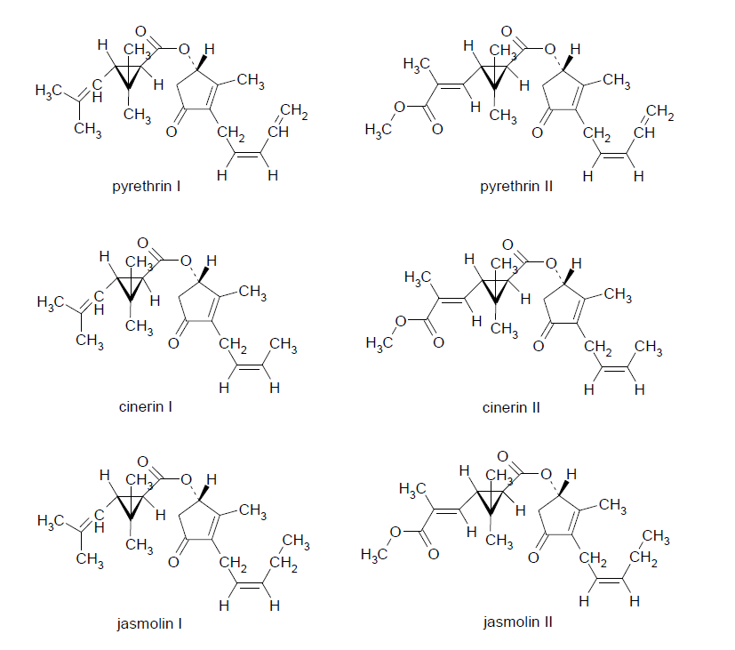 Diagram showing molecular diagram of the six pyrethrin esters.