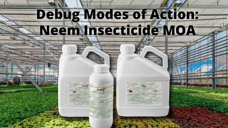 Debug Modes of Action: Neem Insecticide MOA
