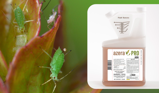 Azera® Pro: The Right Choice for Botanically Derived Pest Control