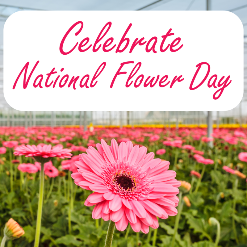 Three Ways for Your Business to Celebrate National Flower Day on Social ...