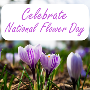 National Flower Day Graphic - crocus