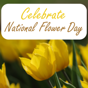 National Flower Day Graphic - Tulip